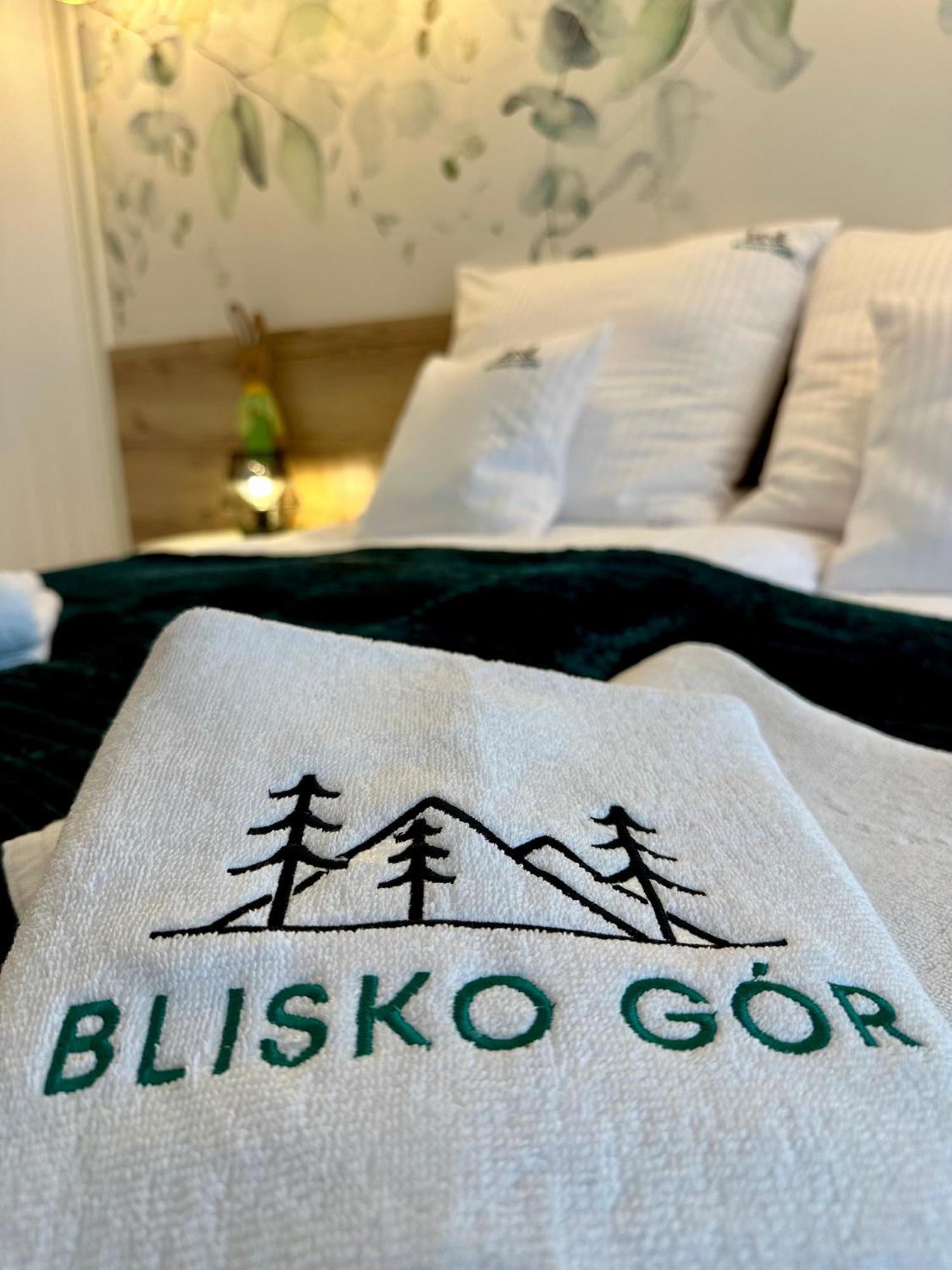비엘스코-비아와 Blisko Gor Szyndzielnia 아파트 외부 사진